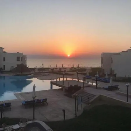 Palm Beach Safari Egypt