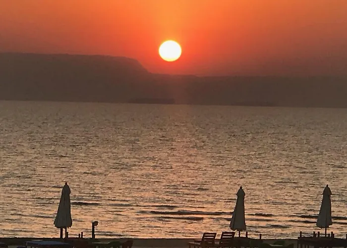 Palm Safari Egypt Resort 4*