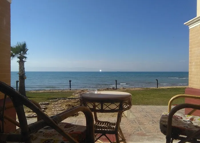 Palm Safari Egypt Resort Ras Sedr