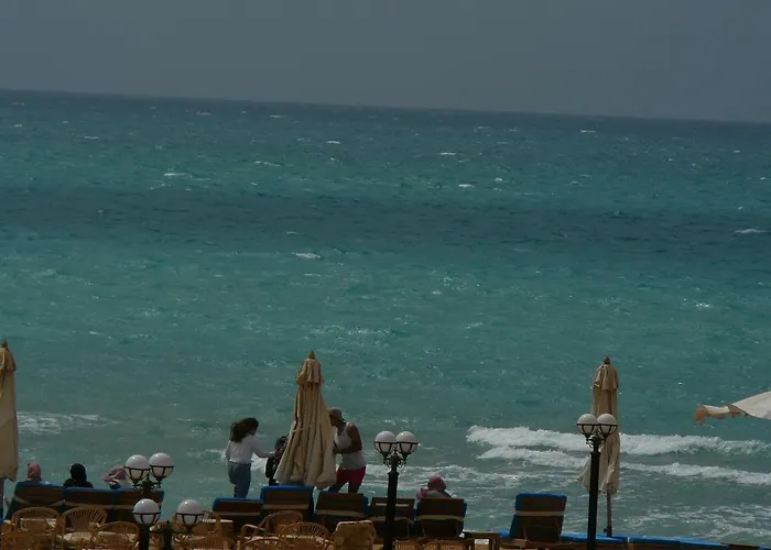 Resort Palm Safari Egypt